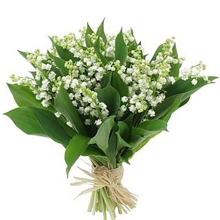 Muguet06